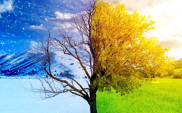 秋冬季节做防水有讲究！