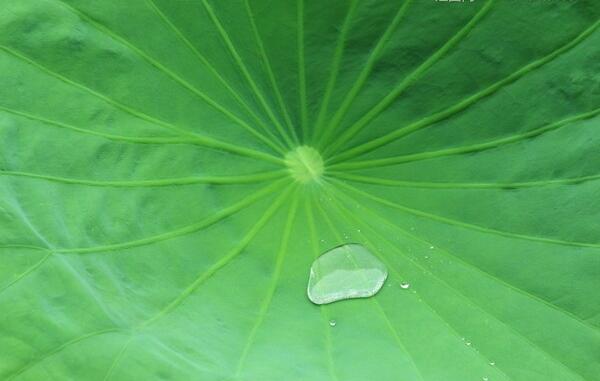 外墙渗漏怎么办？这里有个简便、易行、效果超赞的妙方...