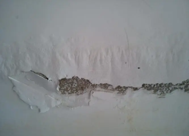 阴面墙返潮怎么办？应该怎样做防水？