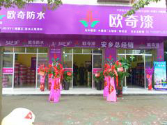 欧奇防水-安乡总经销